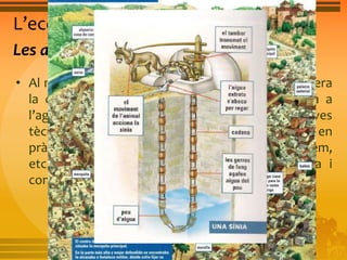 L’economia i la societat andalusines 
Les activitats econòmiques 
• Al món islàmic, el centre de l’activitat econòmica era 
la ciutat. La majoria de la població es dedicava a 
l’agricultura. Els musulmans van introduir noves 
tècniques, com el regadiu. També van posar en 
pràctica nous cultius com l’arròs, els cítrics, el cànem, 
etc. Hi havia una artesania florent, organitzada i 
controlada per l’Estat. El comerç era molt actiu. 
 