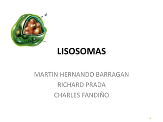 LISOSOMAS MARTIN HERNANDO BARRAGAN RICHARD PRADA CHARLES FANDIÑO 