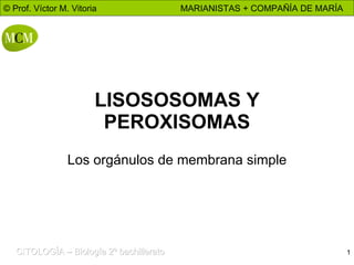 LISOSOSOMAS Y PEROXISOMAS Los orgánulos de membrana simple 