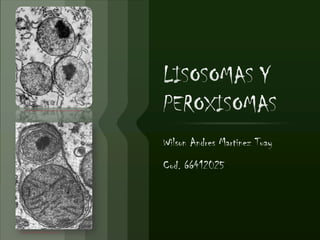 http://elmundodelabiologa.blogspot.com/search/label/Lisosomas




http://www.geocities.ws/biolcito/peroxi4.html
 