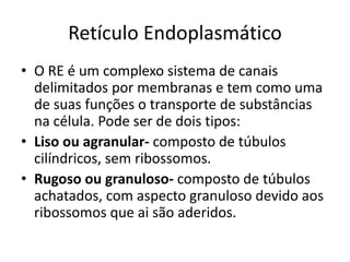 Retículo Endoplasmático
• O RE é um complexo sistema de canais
delimitados por membranas e tem como uma
de suas funções o transporte de substâncias
na célula. Pode ser de dois tipos:
• Liso ou agranular- composto de túbulos
cilíndricos, sem ribossomos.
• Rugoso ou granuloso- composto de túbulos
achatados, com aspecto granuloso devido aos
ribossomos que ai são aderidos.
 