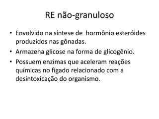 RE não-granuloso
• Envolvido na síntese de hormônio esteróides
produzidos nas gônadas.
• Armazena glicose na forma de glicogênio.
• Possuem enzimas que aceleram reações
químicas no fígado relacionado com a
desintoxicação do organismo.
 