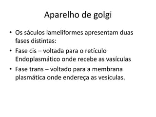 Aparelho de golgi
• Os sáculos lameliformes apresentam duas
fases distintas:
• Fase cis – voltada para o retículo
Endoplasmático onde recebe as vasículas
• Fase trans – voltado para a membrana
plasmática onde endereça as vesículas.
 