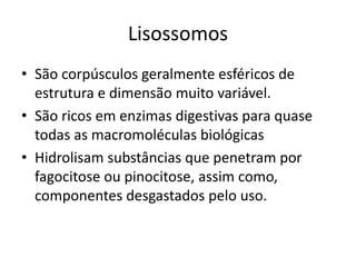 Lisossomos
• São corpúsculos geralmente esféricos de
estrutura e dimensão muito variável.
• São ricos em enzimas digestivas para quase
todas as macromoléculas biológicas
• Hidrolisam substâncias que penetram por
fagocitose ou pinocitose, assim como,
componentes desgastados pelo uso.
 