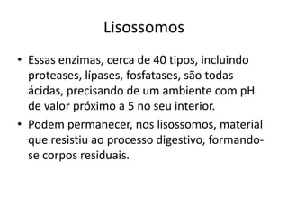 Lisossomos
• Essas enzimas, cerca de 40 tipos, incluindo
proteases, lípases, fosfatases, são todas
ácidas, precisando de um ambiente com pH
de valor próximo a 5 no seu interior.
• Podem permanecer, nos lisossomos, material
que resistiu ao processo digestivo, formando-
se corpos residuais.
 