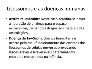 Lisossomos e as doenças humanas
• Artrite reumatóide: Neste caso acredita-se haver
a liberação de enzimas para o espaço
extracelular, causando estragos aos mateiais das
articulações.
• Doença de Tay-Sachs: doença horeditaria e
ocorre pelo mau funcionamento das enzimas dos
lisossomos de células nervosas provocando
lesões graves e irreversíveis determinando
retardo e morte ainda na infância.
 