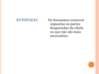 AUTOFAGIA

Os lisossomos removem
organelas ou partes
desgastadas da célula
ou que não são mais
necessárias.

 