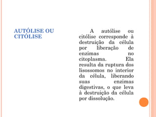 AUTÓLISE OU
CITÓLISE

A autólise ou
citólise corresponde à
destruição da célula
por
liberação
de
enzimas
no
citoplasma.
Ela
resulta da ruptura dos
lisossomos no interior
da célula, liberando
suas
enzimas
digestivas, o que leva
à destruição da célula
por dissolução.

 