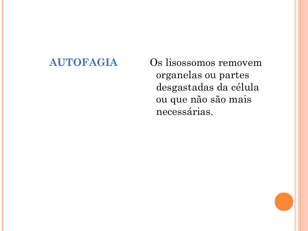 Lisossomos