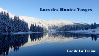 Lacs des Hautes Vosges
Lac de La TenineLac de La Tenine
 