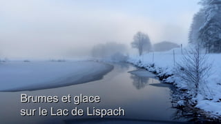Brumes et glaceBrumes et glace
sur le Lac de Lispachsur le Lac de Lispach
 