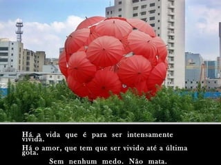 Há  a  vida  que  é  para  ser  intensamente  vivida. Há o amor, que tem que ser vivido até a última gota. Sem  nenhum  medo.  Não  mata. 