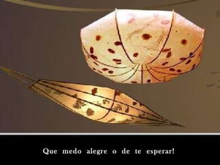 Que  medo  alegre  o  de  te  esperar! 