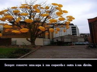 Sempre conserve uma aspa à sua esquerda e outra à sua direita.
 
