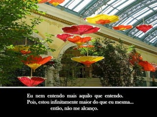 Eu nem entendo mais aquilo que entendo.
Pois, estou infinitamente maior do que eu mesma...
            então, não me alcanço.
 