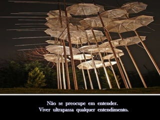 Não se preocupe em entender.
Viver ultrapassa qualquer entendimento.
 