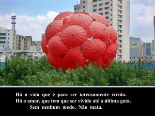 Há  a  vida  que  é  para  ser  intensamente  vivida. Há o amor, que tem que ser vivido até a última gota. Sem  nenhum  medo.  Não  mata. 