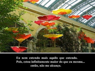 Eu  nem  entendo  mais  aquilo  que  entendo.  Pois, estou infinitamente maior do que eu mesma... então, não me alcanço. 