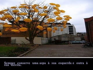Sempre conserve uma aspa à sua esquerda e outra àSempre conserve uma aspa à sua esquerda e outra à
sua direita.sua direita.
 