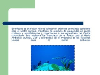 El enfoque de este gran reto es trabajar en prácticas de manejo sostenible
para el sector agrícola, monitoreo de residuos de plaguicidas en zonas
costeras y sensibilización y capacitación a los agricultores del Caribe
colombiano. Esta iniciativa fue financiada por el Fondo para el Medio
Ambiente Mundial, GEF y coordinada por el Programa de las Naciones
Unidas
para
el
medio
ambiente.

 