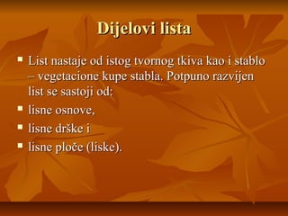 List | PPT
