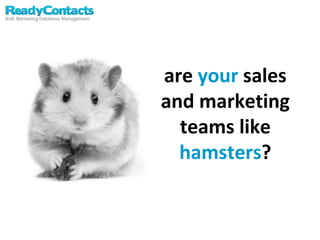 are  your  sales and marketing teams like  hamsters ? 