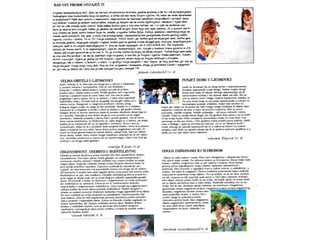 List5prezentacija 121102120905-phpapp01