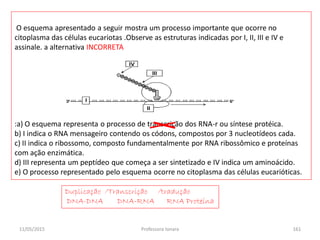 11/05/2015 Professora Ionara 161
O esquema apresentado a seguir mostra um processo importante que ocorre no
citoplasma das células eucariotas .Observe as estruturas indicadas por I, II, III e IV e
assinale. a alternativa INCORRETA
:a) O esquema representa o processo de transcrição dos RNA-r ou síntese protéica.
b) I indica o RNA mensageiro contendo os códons, compostos por 3 nucleotídeos cada.
c) II indica o ribossomo, composto fundamentalmente por RNA ribossômico e proteínas
com ação enzimática.
d) III representa um peptídeo que começa a ser sintetizado e IV indica um aminoácido.
e) O processo representado pelo esquema ocorre no citoplasma das células eucarióticas.
Duplicação /Transcrição /tradução
DNA-DNA DNA-RNA RNA Proteína
 