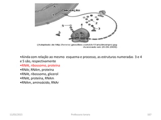 11/05/2015 Professora Ionara 167
•Ainda com relação ao mesmo esquema e processo, as estruturas numeradas 3 e 4
e 5 são, respectivamente
•RNAt, ribossomo, proteína
•RNAr, RNAm, proteína
•RNAt, ribossomo, glicerol
•RNAt, proteína, RNAm
•RNAm, aminoácido, RNAr
 
