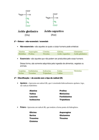 3° - Síntese - não-essenciais / essenciais

   •    Não-essenciais - são aqueles os quais o corpo humano pode sintetizar.

       Alanina     Asparagina         Cisteína           Glicina.              Glutamina
       Histidina   Prolina            Tirosina           Ácido Aspartico       Ácido glutâmico

   •    Essenciais - são aqueles que não podem ser produzidos pelo corpo humano.

        Dessa forma, são somente adquiridos pela ingestão de alimentos, vegetais ou
        animais.

       Arginina    fenilalanina       Isoleucina         Lisina                Metiotina
       Serina      Treonina           Triptofano         Valina

4° - Classificação – de acordo com o tipo de radical (R)

   •    Apolara – Apresenta um radical (R), que é constituído hidrocarbonetos apolares, logo,
        são radicais hidrófobos

                    Alanina                                 Prolina
                    Valina                                  Metionina
                    Leucina                                 Fenilalanina
                    Isoleucina                              Triptófano



   •    Polara - Apresenta um radical (R), que tendem a forma pontes de hidrogênios.

                    Glicina                                 Asparagina
                    Serina                                  Glutamina
                    Treonina                                Tirosina
                    Cisteína
 