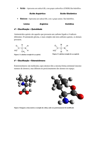 •    Ácido – Apresenta um radical (R), com grupo carboxílico (COOH).São hidrófilos.

                       Ácido Aspártico                               Ácido Glutâmico

    •    Básicos - Apresenta um radical (R), com o grupo amino. São hidrófilos.

              Lisina                   Arginina                              histidina

4° - Classificação – Quiralidade

Aminoácidos quirais são aqueles que possuem um carbono ligado a 4 radicais
diferentes. O aminácido glicina, o mais simples não tem carbonos quirais, os demais
possuem.




Figura 1 A alanina exemplo de a.a quiral.                Figura 2 A glicina exemplo de a.a aquiral.



5° - Classificação – Estereoisômeros

Estereoisómeros são moléculas cujos átomos têm a mesma forma estrutural (mesmo
numero de átomos), mas diferem no posicionamento dos átomos no espaço.




Figura 3 Imagem a cima mostra o exemplo da valina, onde seu posicionamento foi modificado
 