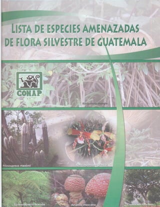 Consejo Nacional de Áreas Protegidas
 