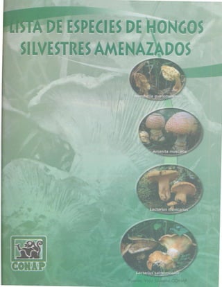 Consejo Nacional de Áreas Protegidas
 