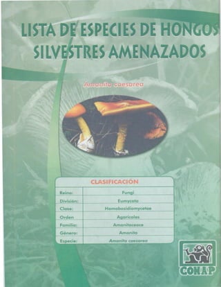 Consejo Nacional de Áreas Protegidas
 