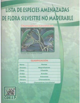Consejo Nacional de Áreas Protegidas




Listado de especies amenazadas de Guatemala y Listado de especies de flora y fauna silvestre CITES de Guatemala   21
 