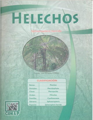 Consejo Nacional de Áreas Protegidas




Listado de especies amenazadas de Guatemala y Listado de especies de flora y fauna silvestre CITES de Guatemala   23
 