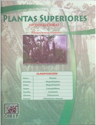 Consejo Nacional de Áreas Protegidas




Listado de especies amenazadas de Guatemala y Listado de especies de flora y fauna silvestre CITES de Guatemala   27
 