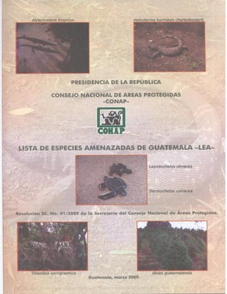 Consejo Nacional de Áreas Protegidas
 
