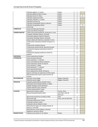 Consejo Nacional de Áreas Protegidas


                       Tillandsia deflexa L. B. Smith.                          Gallito                           1
                       Tillandsia filifolia Schltdl. & Cham.                    Gallito                           1
                       Tillandsia harrisii R. Ehlers.                           Gallito                           1   II
                       Tillandsia magnusiana Witt.                              Gallito                           1
                       Tillandsia matudae L. B. Smith.                          Gallito                           1
                       Tillandsia pruinosa Sw.                                  Gallito                           1
                       Tillandsia streptophylla Scheiw. & Morren                Gallito                           2
                       Tillandsia xerographyca Rohw.                            Gallito                           1   II
                       Vriesia spp.                                                                               3
CANNACEAE              Canna sanctaerosae Kraenzlin                                                               3
                       Canna tuerckheimii Kraenzlin                                                               3
COMMELINACEAE          Callisia warszewicziana(Kunth. & Bouché) D. Hunt.                                          3
                       Campelia stlandleyi Steyerm. & Standl.                                                     2
                       Commelina alpestris Standl. & Steyerm.                                                     2
                       Commelina stlandleyi Steyerm. & Standl.                                                    3
                       Gibasis triflora (M. Martens y Galeotti) D. Hunt.                                          3
                       Tradescantia huehueteca (Standl. & Steyerm. D.                                             3
                       Hunt.
                       Tradescantia standleyi Steyerm.                                                            2
                       Tradescantia velutina Kunth. Bouché & Kunath.                                              2
                       Tripogandra disgrega f glandulosa Standl. &                                                3
                       Steyerm.
                       Tripogandra disgrega f pubescens Standl. &                                                 3
                       Steyerm.
COSTACEAE              Costus sepacuitensis Rowley                                                                2
CYPERACEAE             Carex brunnipes Reznicek                                                                   3
                       Carex caxinensis F. J. Herman                                                              3
                       Carex cuchumatensis Stand. & Steyerm.                                                      2
                       Carex huehueteca Standl. & Steyerm.                                                        3
                       Carex pertenuis L. Bailey                                                                  3
                       Carex quichensis F. J. Herman                                                              3
                       Carex steyermarkii Standl.                                                                 3
                       Carex tojquianensis Standl. & Steyerm.                                                     2
                       Cyperus manimae var asperrimus (Liebm.) Kunk.                                              3
                       Rhynchospora fascicularis subsp sierrensis W.                                              3
                       Thomas
HELICONIACEAE          Heliconia crassa Griggs.                                 Bijague, Platanillo               3
                       Heliconia spissa Griggs.                                 Bijague, Platanillo               3
IRIDACEAE              Calydorea guatemalensis (Standl.) Foster                                                   3
                       Nemastylis tenuis (Herbert) Benth. Ex Baker                                                3
                       Tigridia meleagris (Lindl.) Nicholson                                                      3
                       Tigridia seleriana (Loes.) Ravenna                                                         3
                       Trimeza steyermarkii R. Foster                                                             3
LILIACEAE              Beaucarnea ameliae Lundell.                              Corcho, Chicú                     3
                       Beaucarnea guatemalensis Rose                            Izote Real, Izote de              3
                                                                                Montaña
                       Beaucarnea petenensis (Lundell) Lundell                  Izote                             2
                       Beaucarnea spp.                                          Pony, Izote de Montaña            3
                       Echeandia altipratensis Cruden.                                                            3
                       Echeandia molinae Cruden.                                                                  3
                       Echeandia skinneri (Baker) Cruden                                                          3
                       Maianthemum gigas var crassipes (Standl. &                                                 3
                       Steyerm.) LaFrankie
                       Maianthemum salvinii (Baker) LaFrankie                                                     3
                       Zygadenus volcanicus Benth.                                                                3
MARANTACEAE            Calathea lutea (Aubl.) G.F.W. Meyer                      Maxán                             3




Listado de especies amenazadas de Guatemala y Listado de especies de flora y fauna silvestre CITES de Guatemala        43
 