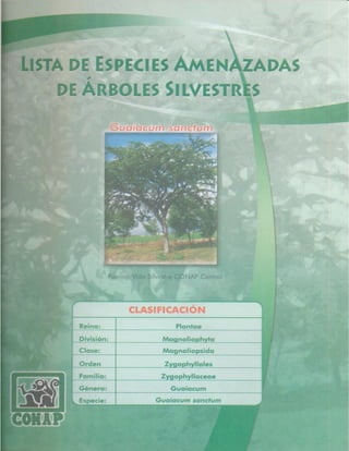 Consejo Nacional de Áreas Protegidas




Listado de especies amenazadas de Guatemala y Listado de especies de flora y fauna silvestre CITES de Guatemala   55
 