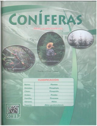 Consejo Nacional de Áreas Protegidas




Listado de especies amenazadas de Guatemala y Listado de especies de flora y fauna silvestre CITES de Guatemala   57
 