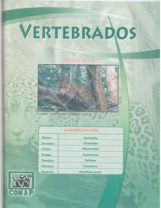 Consejo Nacional de Áreas Protegidas




Listado de especies amenazadas de Guatemala y Listado de especies de flora y fauna silvestre CITES de Guatemala   75
 