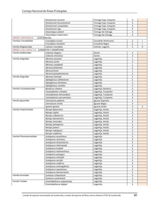 Consejo Nacional de Áreas Protegidas


                              Kinosternon acutum                                         Tortuga Caja, Casquito            3
                              Kinosternon leucostomum                                    Tortuga Caja, Casquito            3
                              Kinosternon scorpioides.                                   Tortuga Caja, Casquito            3
                              Kinosternon spp.                                           Tortuga Caja, Casquito            3
                              Staurotypus salvinii                                       Tortuga de Ciénaga                3
                              Staurotypus triporcatus                                    Tortuga de Ciénaga                3
ORDEN CROCODYLIA        (COCODRILOS)
Familya Crocodylidae          Crocodylus acutus                                          Cocodrilo Americano               2        I
                              Crocodylus moreletii                                       Cocodrilo Negro                   2        I
Familia Alligatoridae         Caiman crocodilus                                          Caimán, Lagarto                   2        II
ORDEN S Q U A M A T A (LAGARTOS Y LAGARTIJAS)
Familia Gekkonidae            Coleonix elegans                                           Gecko                             3
                              Coleonix mistratus                                         Gecko                             3
Familia Anguidae              Abronia anzuetoi                                           Lagartija                         1
                              Abronia aurita                                             Lagartija                         3
                              Abronia campbelli                                          Lagartija                         1
                              Abronia fimbriata                                          Lagartija                         2
                              Abronia frosti                                             Lagartija                         1
                              Abronia gaiophantasma                                      Lagartija                         2
Familia Anguidae              Abronia matudai                                            Lagartija                         2
                              Diploglossus atitlanensis                                  Lagartija                         2
                              Diploglossus bivittatus                                    Lagartija                         2
                              Diploglossus rozellae                                      Lagartija                         3
Familia Corytophanidae        Basiliscus vittatus                                        Lagartija, Basilisco              3
                              Corytophanes cristatus                                     Lagartija, Turipache              3
                              Corytophanes hernandesii                                   Lagartija, Turipache              3
                              Corytophanes percarinatus                                  Lagartija, Turipache              3
Familia Iguanidae             Ctenosaura palearis                                        Iguana Espinosa                   2
                              Ctenosaura similis                                         Iguana Negra                      3
                              Iguana iguana                                              Iguana Verde                      3        II
Familia Polychrotidae         Norops biporcatus                                          Lagartija, Anolis                 3
                              Norops capito                                              Lagartija, Anolis                 3
                              Norops cobanensis                                          Lagartija, Anolis                 3
                              Norops laeviventris                                        Lagartija, Anolis                 3
                              Norops nannodes                                            Lagartija, Anolis                 3
                              Norops pentaprion                                          Lagartija, Anolis                 3
                              Norops petersi                                             Lagartija, Anolis                 3
                              Norops rodriguezi                                          Lagartija, Anolis                 3
                              Norops uniformis                                           Lagartija, Anolis                 3
Familia Phrynosomatidae       Sceloporus acanthinus                                      Lagartija                         3
                              Sceloporus carinatus                                       Lagartija                         3
                              Sceloporus chrysostictus                                   Lagartija                         3
                              Sceloporus internasalis                                    Lagartija                         3
                              Sceloporus lundelli                                        Lagartija                         3
                              Sceloporus melanorhinus                                    Lagartija                         3
                              Sceloporus prezygus                                        Lagartija                         3
                              Sceloporus schmidti                                        Lagartija                         3
                              Sceloporus serrifer                                        Lagartija                         3
                              Sceloporus siniferus                                       Lagartija                         3
                              Sceloporus smaragdimus                                     Lagartija                         3
                              Sceloporus squamosus                                       Lagartija                         3
                              Sceloporus taeniocnemis                                    Lagartija                         3
Familia Scincidae             Eumeces schwartezei                                        Lagartija                         3
                              Eumeces sumichrasti                                        Lagartija                         3
Familia Teiidae               Cnemidophorus angusticeps                                  Lagartija                         3
                              Cnemidophorus deppei                                       Lagartija                         3



         Listado de especies amenazadas de Guatemala y Listado de especies de flora y fauna silvestre CITES de Guatemala       80
 