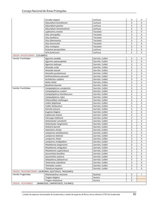 Consejo Nacional de Áreas Protegidas


                           Ciccaba virgata                                              Lechuza                           3        II
                           Glaucidium brasilianum                                       Lechuza                           3        II
                           Glaucidium gnoma                                             Lechuza                           3        II
                           Glaucidium minutissimum                                      Lechuza                           3        II
                           Lophostrix cristata                                          Tecolote                          3        II
                           Otus atricapillus                                            Tecolote                          3        II
                           Otus barbarus                                                Tecolote                          3        II
                           Otus flammeolus                                              Tecolote                          3        II
                           Otus kennicottii                                             Tecolote                          2        II
                           Otus trichopsis                                              Tecolote                          3        II
                           Pulsatrix perspicillata                                      Lechuza                           3        II
                           Strix fulvescens                                             Lechuza                           2        II
ORDEN APODIFORMES (COLIBRÍES)
Familia Trochilidae        Agyrtria candida                                             Gorrión, Colibrí                  3        II
                           Agyrtria cyanocephala                                        Gorrión, Colibrí                  3        II
                           Agyrtria violiceps                                           Gorrión, Colibrí                  3        II
                           Amazilia rutila                                              Gorrión, Colibrí                  3        II
                           Amazilia tzacatl                                             Gorrión, Colibrí                  3        II
                           Amazilia yucatanensis                                        Gorrión, Colibrí                  3        II
                           Anthracothorax prevostii                                     Gorrión, Colibrí                  3        II
                           Archilochus colubris                                         Gorrión, Colibrí                  3        II
                           Atthis ellioti                                               Gorrión, Colibrí                  3        II
                           Basilinna leucotis                                           Gorrión, Colibrí                  3        II
Familia Trochilidae        Campylopterus curvipennis                                    Gorrión, Colibrí                  3        II
                           Campylopterus cuvierii                                       Gorrión, Colibrí                  3        II
                           Campylopterus hemileucurus                                   Gorrión, Colibrí                  3        II
                           Campylopterus rufus                                          Gorrión, Colibrí                  3        II
                           Chlorostilbon mellisugus                                     Gorrión, Colibrí                  3        II
                           Colibri delphinae                                            Gorrión, Colibrí                  3        II
                           Colibri thalassinus                                          Gorrión, Colibrí                  3        II
                           Doricha enicura                                              Gorrión, Colibrí                  3        II
                           Eugenes fulgens                                              Gorrión, Colibrí                  3        II
                           Eupherusa eximia                                             Gorrión, Colibrí                  3        II
                           Florisuga mellivora                                          Gorrión, Colibrí                  3        II
                           Heliomaster constantii                                       Gorrión, Colibrí                  3        II
                           Heliomaster longirostris                                     Gorrión, Colibrí                  3        II
                           Heliotrix barroti                                            Gorrión, Colibrí                  3        II
                           Hylocharis eliciae                                           Gorrión, Colibrí                  3        II
                           Lampornis amethystinus                                       Gorrión, Colibrí                  3        II
                           Lampornis helenae                                            Gorrión, Colibrí                  3        II
                           Lampornis rhami                                              Gorrión, Colibrí                  3        II
                           Lampornis viridipallens                                      Gorrión, Colibrí                  3        II
                           Phaethornis longirostris                                     Gorrión, Colibrí                  3        II
                           Phaethornis striigularis                                     Gorrión, Colibrí                  3        II
                           Phaethornis superciliosus                                    Gorrión, Colibrí                  3        II
                           Saucerottia beryllina                                        Gorrión, Colibrí                  3        II
                           Saucerottia cyanura                                          Gorrión, Colibrí                  3        II
                           Selasphorus platycercus                                      Gorrión, Colibrí                  3        II
                           Thalurania colombica                                         Gorrión, Colibrí                  3        II
                           Threnetes ruckeri                                            Gorrión, Colibrí                  3        II
                           Tilmatura dupontii                                           Gorrión, Colibrí                  3        II
ORDEN TROGONIFORMES (AURORAS, QUETZALES, TROGONES)
Familia Trogonidae         Pharomachrus mocinno                                         Quetzal                           3        I
                           Trogon elegans                                               Aurora                            2
                           Trogon mexicanus                                             Aurora                            3
ORDEN PICIFORMES    (BARBUDOS, CARPINTEROS, TUCANES)



        Listado de especies amenazadas de Guatemala y Listado de especies de flora y fauna silvestre CITES de Guatemala       85
 
