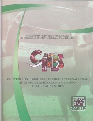 Consejo Nacional de Áreas Protegidas




Listado de especies amenazadas de Guatemala y Listado de especies de flora y fauna silvestre CITES de Guatemala   91
 