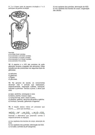 III. 3 e 4 fazem parte da pequena circulação e 1 e 2
participam da grande circulação.
Assinale:
a) se todas forem corretas.
b) se somente I e III forem corretas.
c) se somente I e II forem corretas.
d) se somente II e III forem corretas.
e) se somente II for correta.
12. A pepsina e o HCl são produtos da ação
glandular durante a digestão dos alimentos. Estas
substâncias são produzidas nos seguintes tipos de
glândulas:
a) salivares.
b) gástricas.
c) fígado.
d) pâncreas.
13. Na gincana da escola, os concorrentes
deveriam citar 4 animais que realizassem,
respectivamente, respiração cutânea, branquial,
traqueal e pulmonar. Venceu a prova, o aluno que
citou
a) sapo, sardinha, caranguejo e vaca.
b) lesma, aranha, mosca e sapo.
c) ouriço-do-mar, atum, ácaro e polvo.
d) planária, golfinho, tatuzinho-de-jardim e galinha.
e) minhoca, camarão, gafanhoto e lagartixa.
14. A reação abaixo indica um processo que
ocorre ___ ,para que aconteça ___ .
Assinale a alternativa que preenche correta e
respectivamente os espaços.
a) nos capilares dos tecidos do corpo; absorção de
CO2.
b) nos capilares dos pulmões; eliminação de CO2.
c) no bulbo; controle do pH sangüíneo.
d) nos capilares dos pulmões; eliminação de H2O.
e) nos capilares dos tecidos do corpo; oxigenação
das células.
 