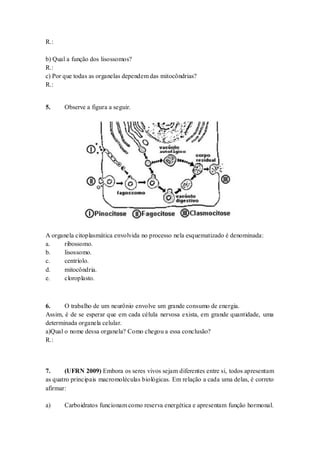R.:
b) Qual a função dos lisossomos?
R.:
c) Por que todas as organelas dependem das mitocôndrias?
R.:
5. Observe a figura a seguir.
A organela citoplasmática envolvida no processo nela esquematizado é denominada:
a. ribossomo.
b. lisossomo.
c. centríolo.
d. mitocôndria.
e. cloroplasto.
6. O trabalho de um neurônio envolve um grande consumo de energia.
Assim, é de se esperar que em cada célula nervosa exista, em grande quantidade, uma
determinada organela celular.
a)Qual o nome dessa organela? Como chegou a essa conclusão?
R.:
7. (UFRN 2009) Embora os seres vivos sejam diferentes entre si, todos apresentam
as quatro principais macromoléculas biológicas. Em relação a cada uma delas, é correto
afirmar:
a) Carboidratos funcionam como reserva energética e apresentam função hormonal.
 