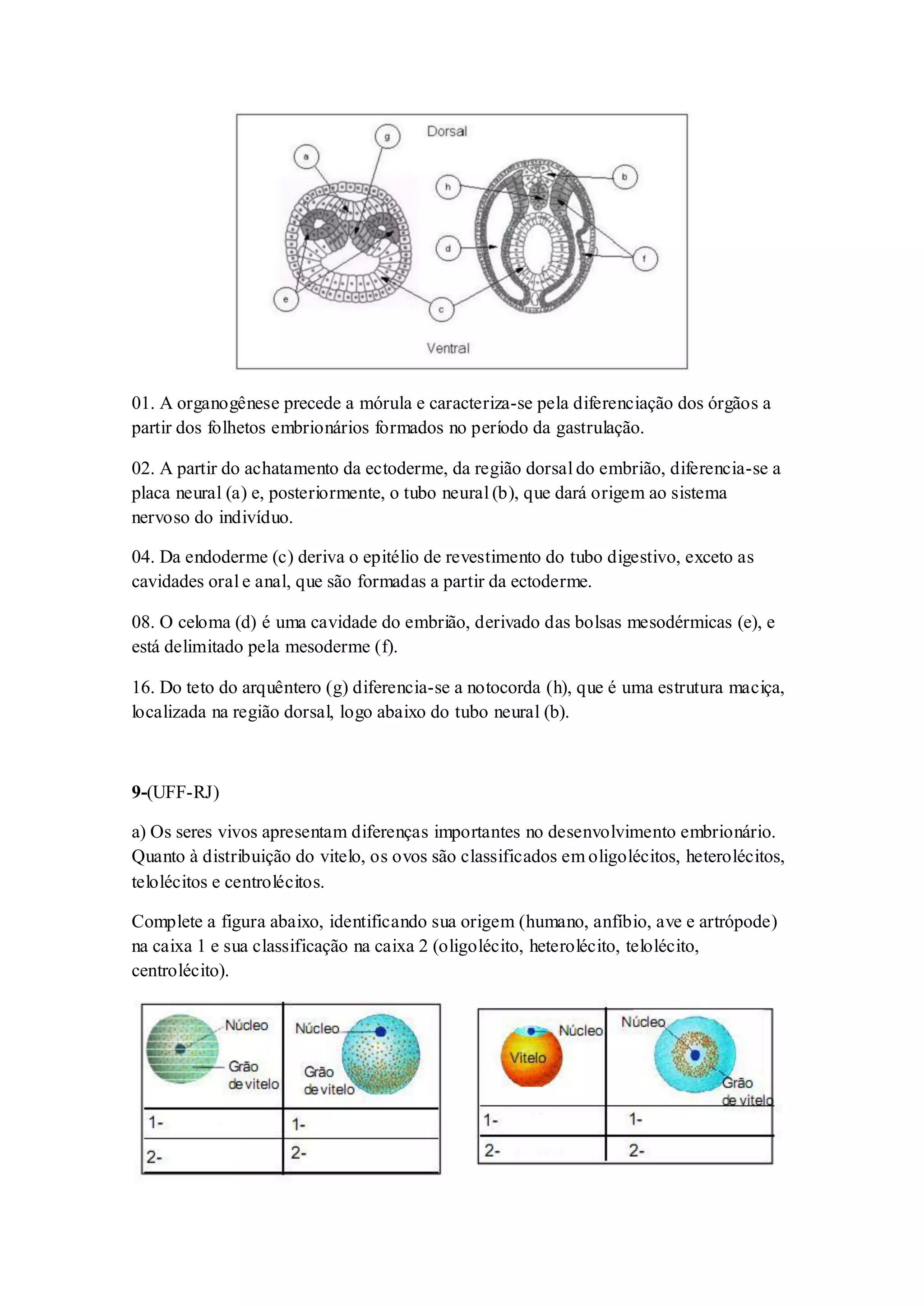 Lista de exercícios IV Embriologia | PDF