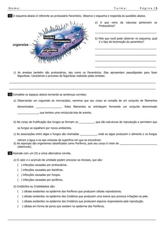 N o m e : T u r m a : P á g i n a | 5
___________________________________________________________________________________________________
14 O esquema abaixo é referente ao protozoário Paramécio. Observe o esquema e responda às questões abaixo.
a) A que reino da natureza pertencem os
Protozoários?
_________________________________________
b) Pelo que você pode observar no esquema, qual
é o tipo de locomoção do paramécio?
_________________________________________
_________________________________________
_________________________________________
_________________________________________
c) As amebas também são protozoários, tais como os Paramécios. Elas apresentam pseudópodes para fazer
fagocitose. Caracterize o processo de fagocitose realizado pelas amebas.
__________________________________________________________________________________________________
__________________________________________________________________________________________________
15 Complete os espaços abaixo tornando as sentenças corretas:
a) Observando um cogumelo ao microscópio, veremos que seu corpo se compõe de um conjunto de filamentos
denominados _________________. Estes filamentos se entrelaçam formando um conjunto denominado
______________, que lembra uma minúscula teia de aranha.
b) No corpo de frutificação dos fungos se formam os __________, que são estruturas de reprodução e permitem que
os fungos se espalhem por novos ambientes.
c) As associações entre algas e fungos são chamadas ___________, onde as algas produzem o alimento e os fungos
retiram a água e os sais minerais da superfície em que se encontram.
d) As esponjas são organismos classificados como Poríferos, pois seu corpo é cheio de _________________________
(aberturas).
16 Assinale com um (X) a única alternativa correta.
a) O calor e o acúmulo de umidade podem provocar as micoses, que são:
( ) infecções causadas por protozoários.
( ) infecções causadas por bactérias.
( ) infecções causadas por fungos.
( ) infecções causadas por poríferos.
b) Cnidócitos ou Cnidoblastos são:
( ) células existentes na epiderme dos Poríferos que produzem células reprodutoras.
( ) células existentes na epiderme dos Cnidários que produzem uma toxina que provoca irritações na pele.
( ) células existentes na epiderme dos Cnidários que produzem esporos responsáveis pela reprodução.
( ) células em forma de poros que existem na epiderme dos Poríferos.
 