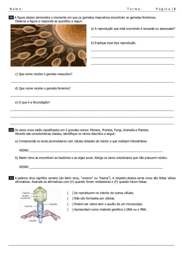 Lista de exercícios recuperação 7 ano ciências